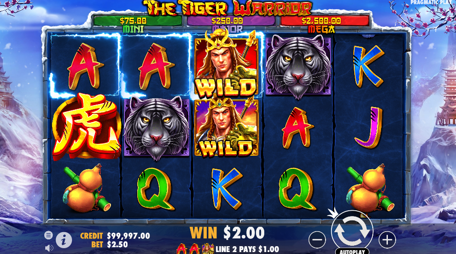 Tiger Warrior Slot Gacor77-